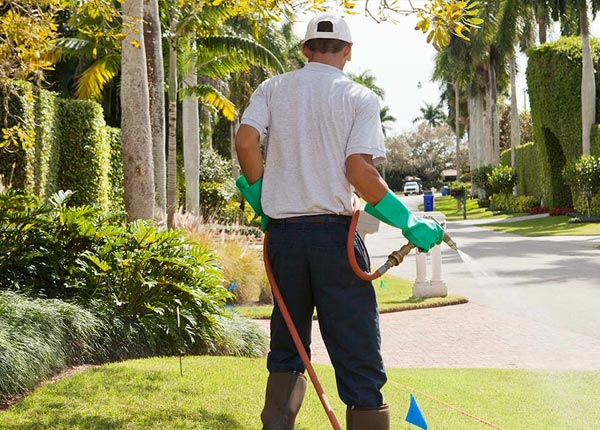 About Frenchtown NJ Pest Control Pros